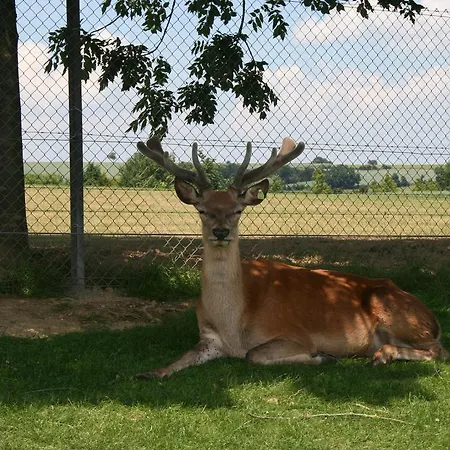 La Ribambelle Casa vacanze