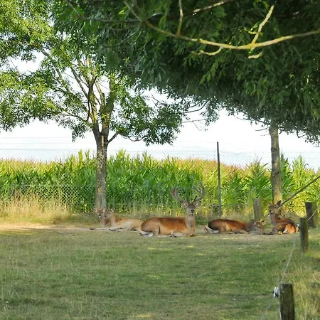 La Ribambelle * Somme-Leuze