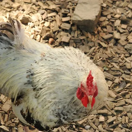 La Ribambelle Casa vacanze Somme-Leuze